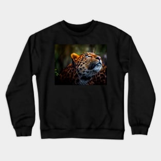 Beautiful Colorful Leopard Crewneck Sweatshirt